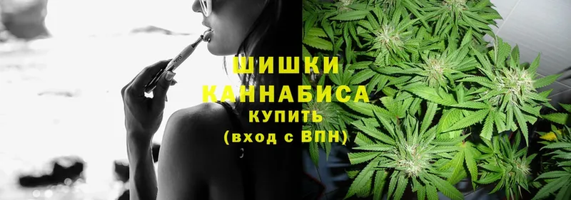 закладки  Малая Вишера  mega как зайти  Бошки марихуана SATIVA & INDICA 